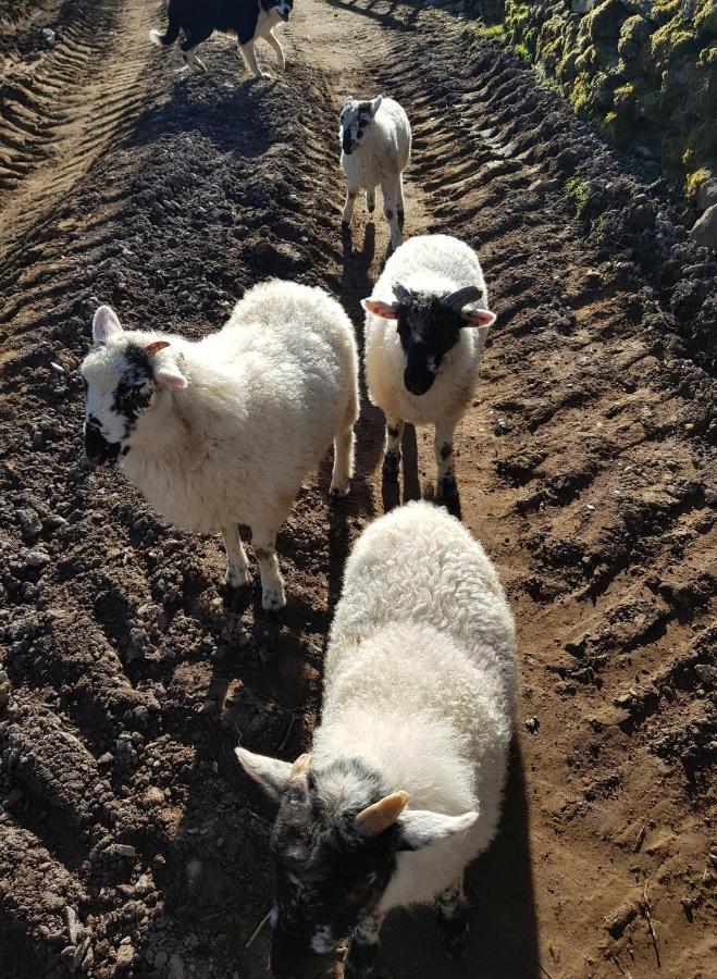 Shadow River Farm Anascaul Eksteriør bilde